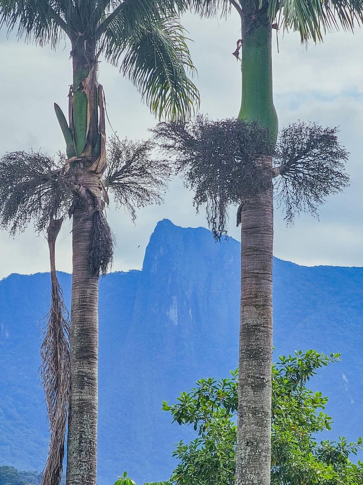 Quarto Triplo com Vista para a Montanha